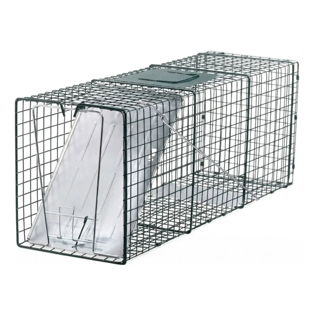 Location Cage piège à marmottes #1496