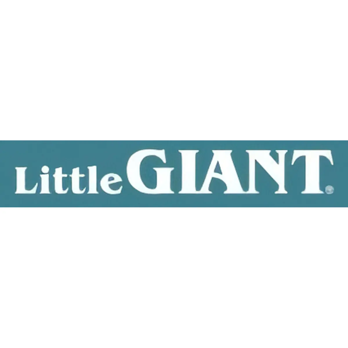 Logo Little Giant ACMAT Portneuf